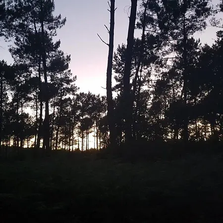 Mobilhome 6 Personnes Climatisation, Tv, Lave-vaisselle, 2 Salle De Bain, 3 Au Les Vignes A Dans Les Landes Avec Piscine, ليت إت ميكسي