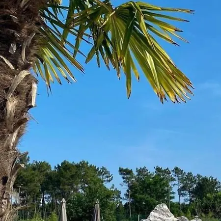Mobilhome 6 Personnes Climatisation, Tv, Lave-vaisselle, 2 Salle De Bain, 3 Au Les Vignes A Dans Les Landes Avec Piscine, Campsite