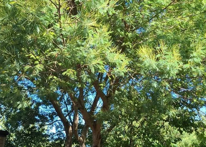 Mobilhome 6 Personnes Climatisation, Tv, Lave-vaisselle, 2 Salle De Bain, 3 Au Les Vignes A Dans Les Landes Avec Piscine, 캠프장